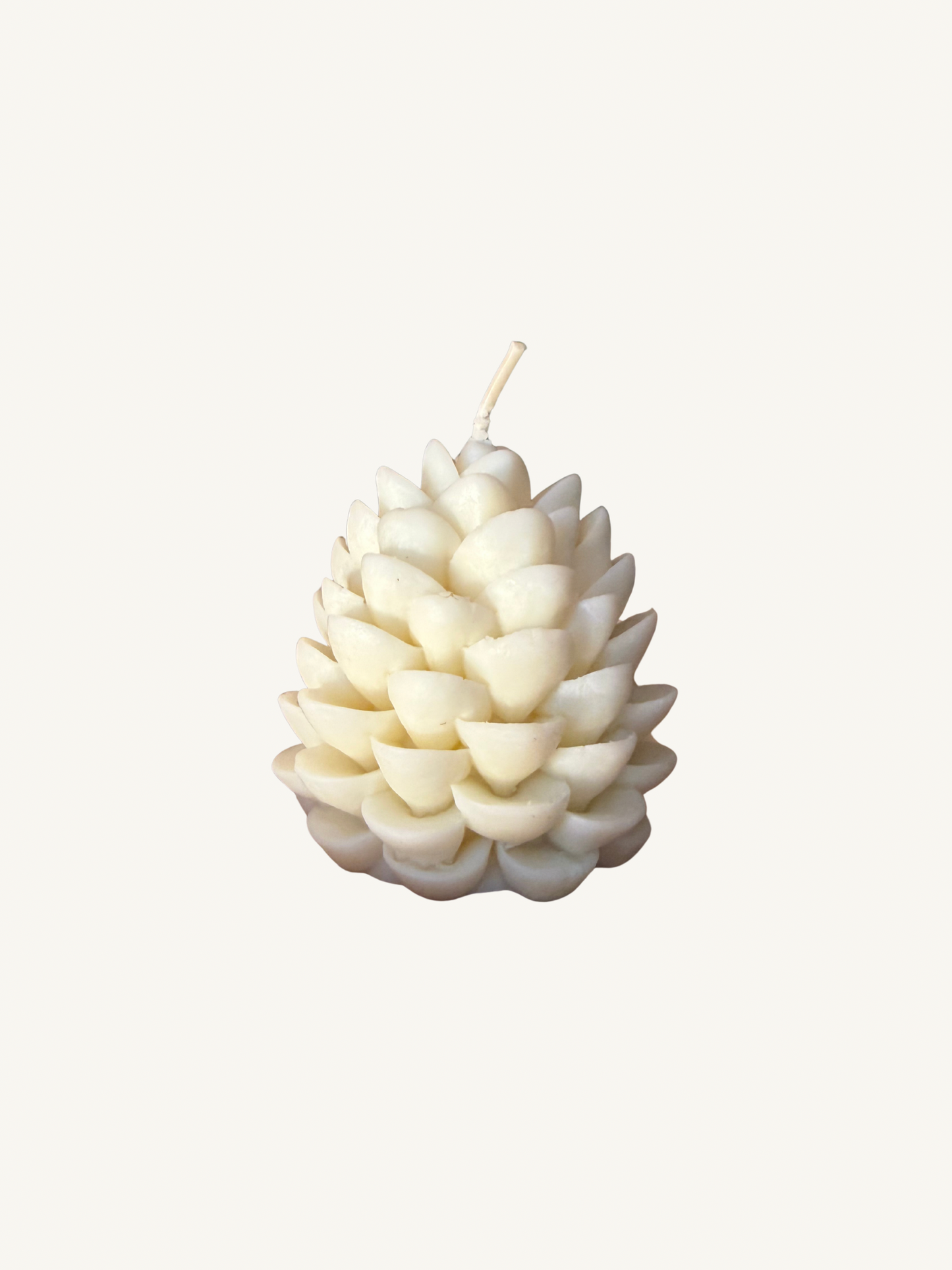 Pinecone Soy Candle